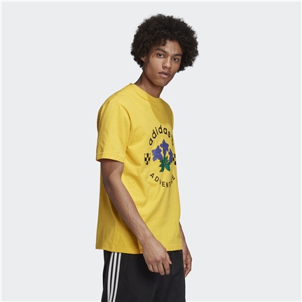 adidas ADV Graphic Tee Erkek Tişört 