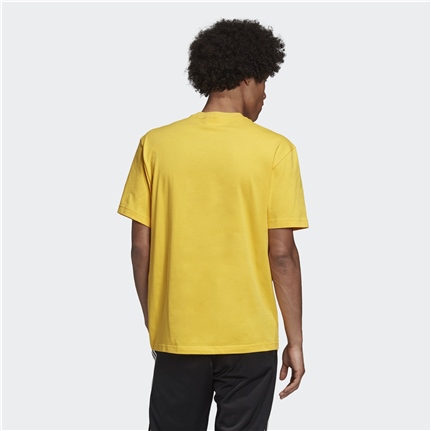 adidas ADV Graphic Tee Erkek Tişört 